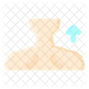 Back  Icon