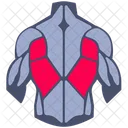 Back muscle  Symbol