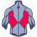 Back muscle  Icon