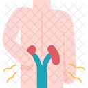 Backache Pain Kidney アイコン