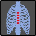 Spine Backbone Vertebra Icon