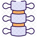 Backbone Spine Orthopedic Icon