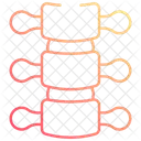 Backbone  Icon