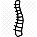 Backbone Icône