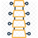 Backbone  Icon