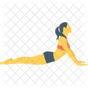 Backbone  Icon