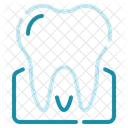 Molar  Symbol