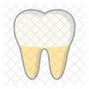 Molar  Symbol