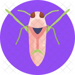 Backswimmer  Icon