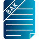 Backup File  Icon