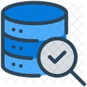 Backup Search Check Icon