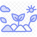 Backyard organic patch  Icon