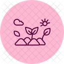 Backyard Organic Patch Backyard Organic Icon