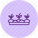 Backyard vegetable bed  Icon