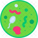 Bacteria Disease Virus Icon