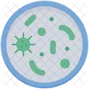 Bacteria Icon
