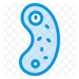 Bacteria  Icon