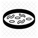 Bacteria  Icon
