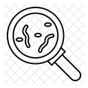 Bacteria  Icon