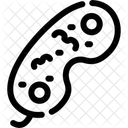 Bacteria  Icon