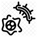 Bacteria  Icon