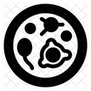 Bacteria  Icon
