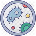 Bacteria Disease Cell Germs Icon