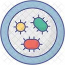 Bacteria Disease Cell Germs Icon