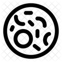 Bacteria  Icon