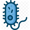 Bacteria Research Science Icon