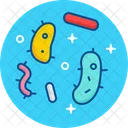 Bacteria Lab Education Icon