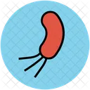 Bacteria Germ Infection Icon