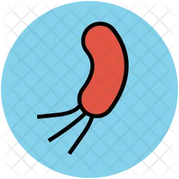 Bacteria  Icon