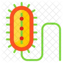 Bacteria Virus Laboratory Icon