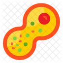 Bacteria Virus Laboratory Icon