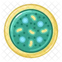 Bacteria Medical Healthcare Icon