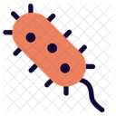 Bacteria Virus Disease Icon