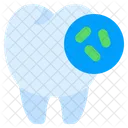 Bacteria Tooth Teeth Icon
