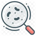 Bacteria Magnifier Magnifying Icon