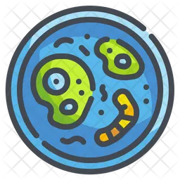 Bacteria  Icon