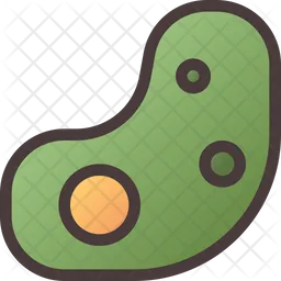 Bacteria  Icon