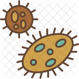 Bacteria  Icon