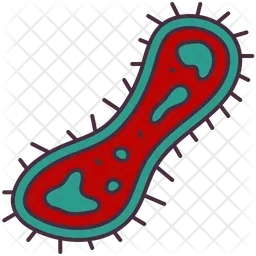 Bacteria  Icon