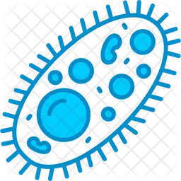 Bacteria  Icon