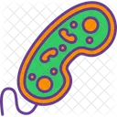 Bacteria Biology Cell Icon