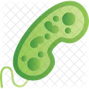 Bacteria Biology Cell Icon