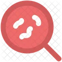 Bacteria Magnifier Searching Icon