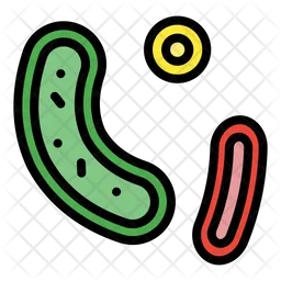 Bacteria  Icon