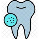 Bacteria Dirty Tooth Icon