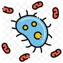 Bacteria And Virus Bacteria Cell Icon